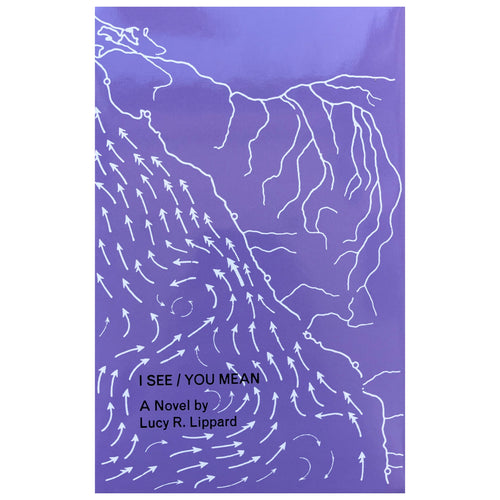 I See / You Mean - Lucy Lippard