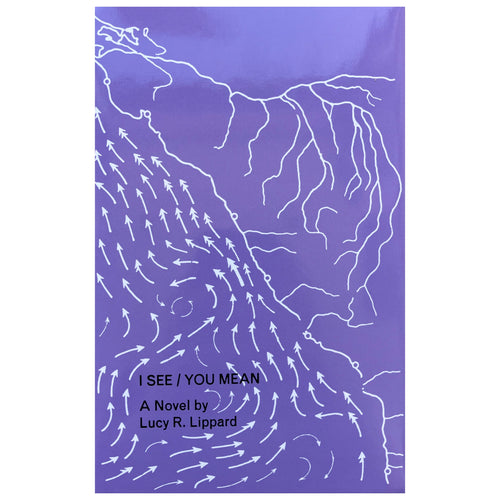 I See / You Mean - Lucy Lippard