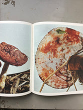 Fruiting Bodies - Ying Ang